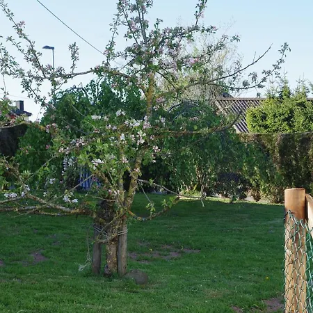Holiday home Schunshof Auw bei Prum
